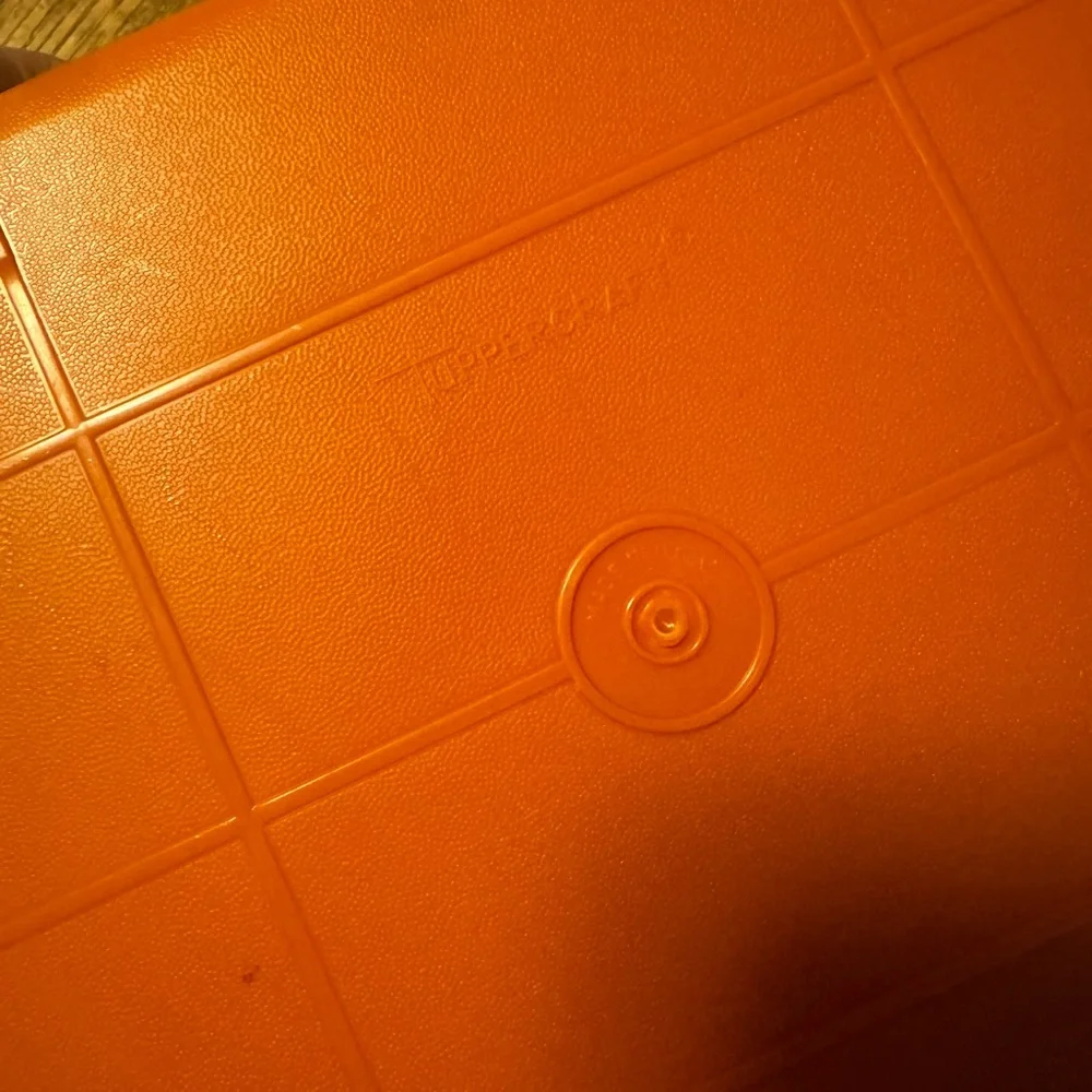 Tupperware Orange Food Storage Tray with Multiple Compartments